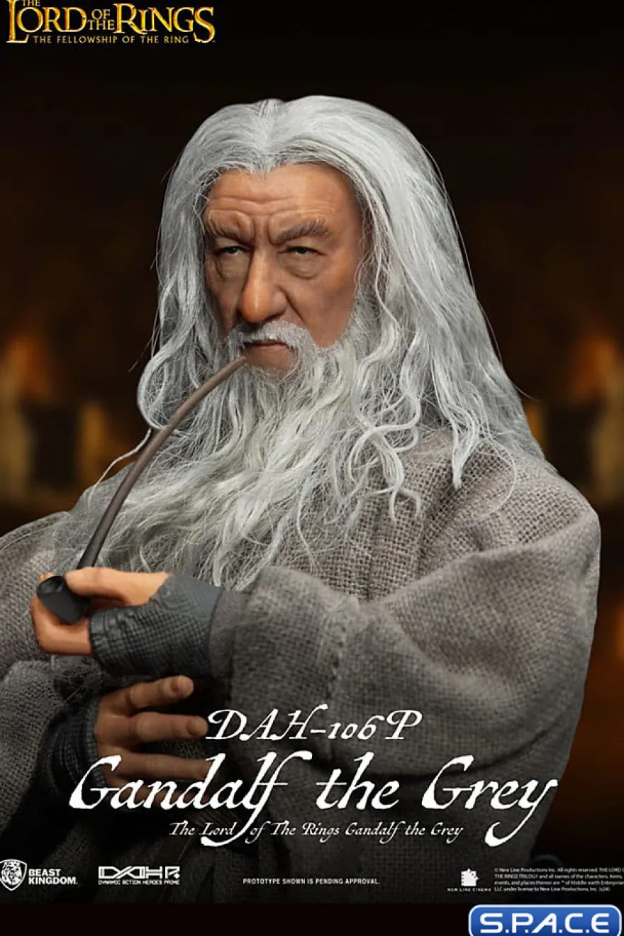 Gandalf the Grey Dynamic 8ction Heroes