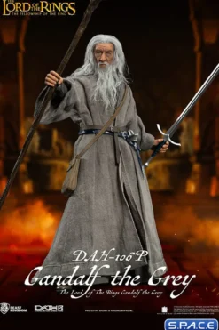 Gandalf the Grey Dynamic 8ction Heroes