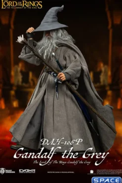 Gandalf the Grey Dynamic 8ction Heroes