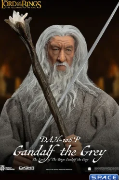 Gandalf the Grey Dynamic 8ction Heroes