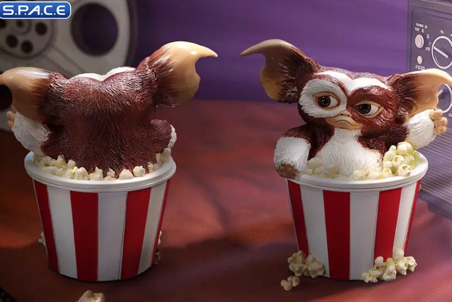 Gizmo Feast Box