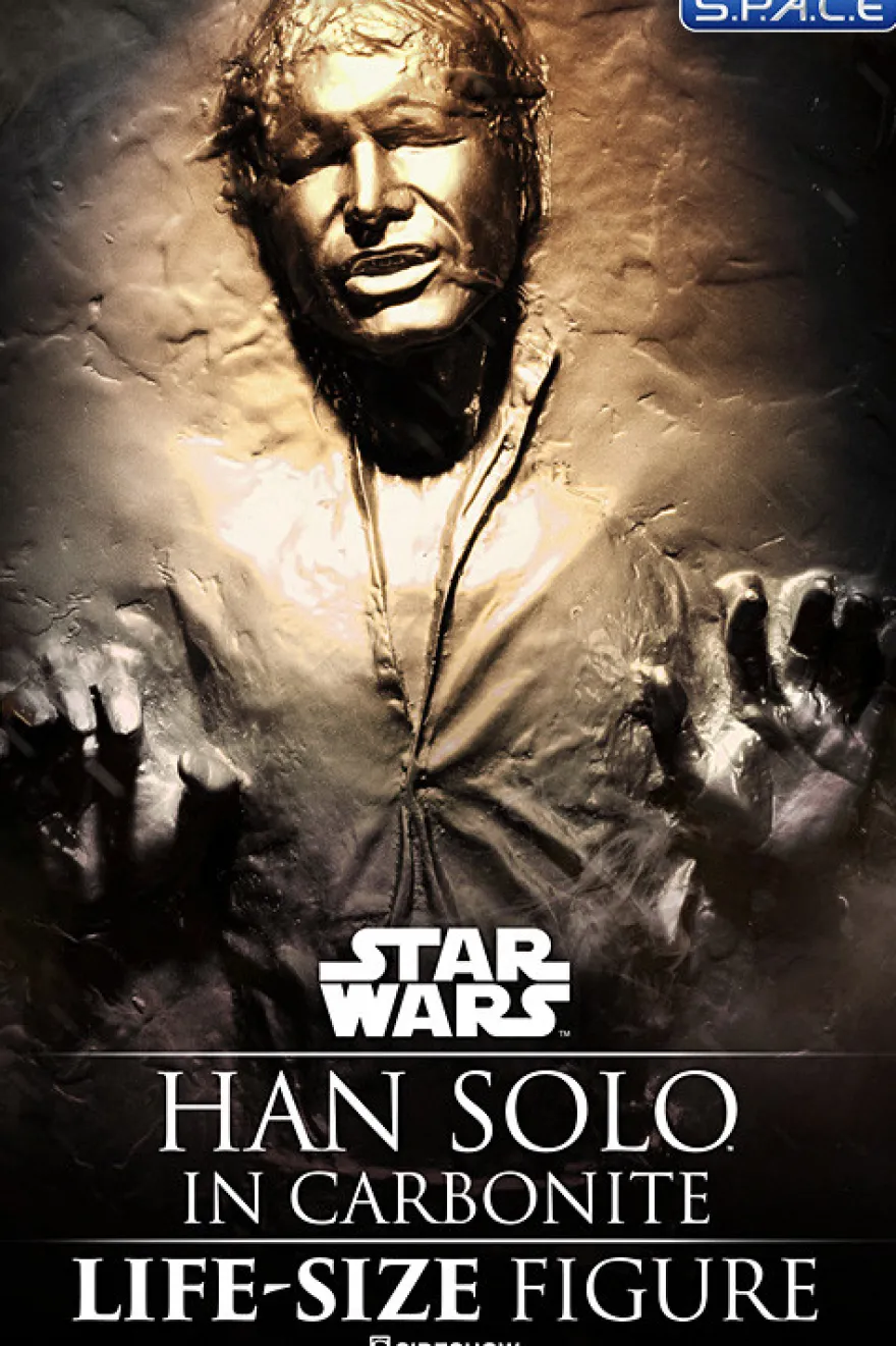 1:1 Han Solo in Carbonite