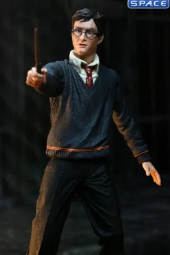 Harry Potter - The Legacy Collection