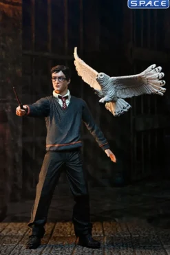 Harry Potter - The Legacy Collection