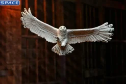 Harry Potter - The Legacy Collection