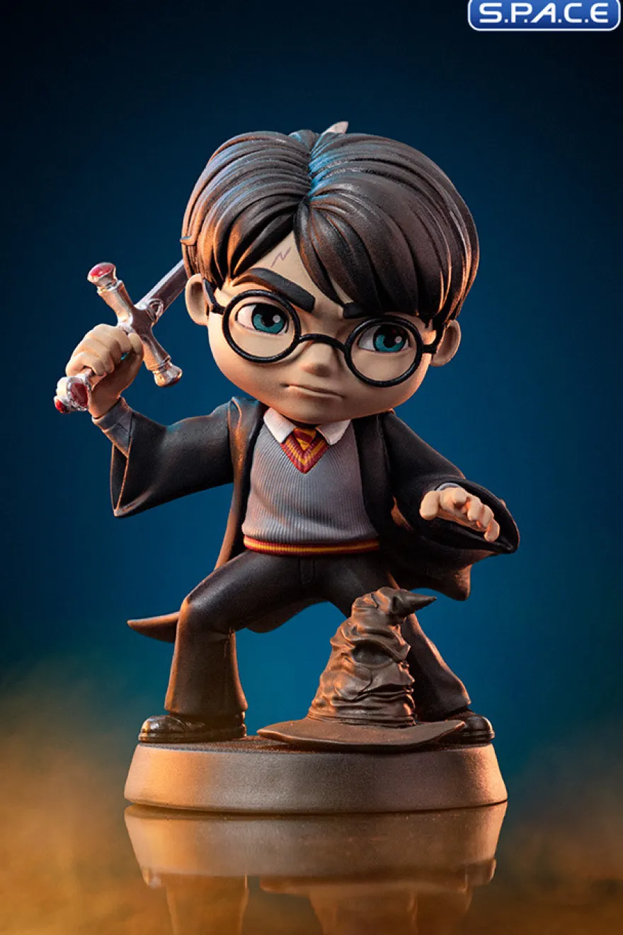 Harry Potter with Sword of Gryffindor
