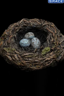 Hat of Radagast