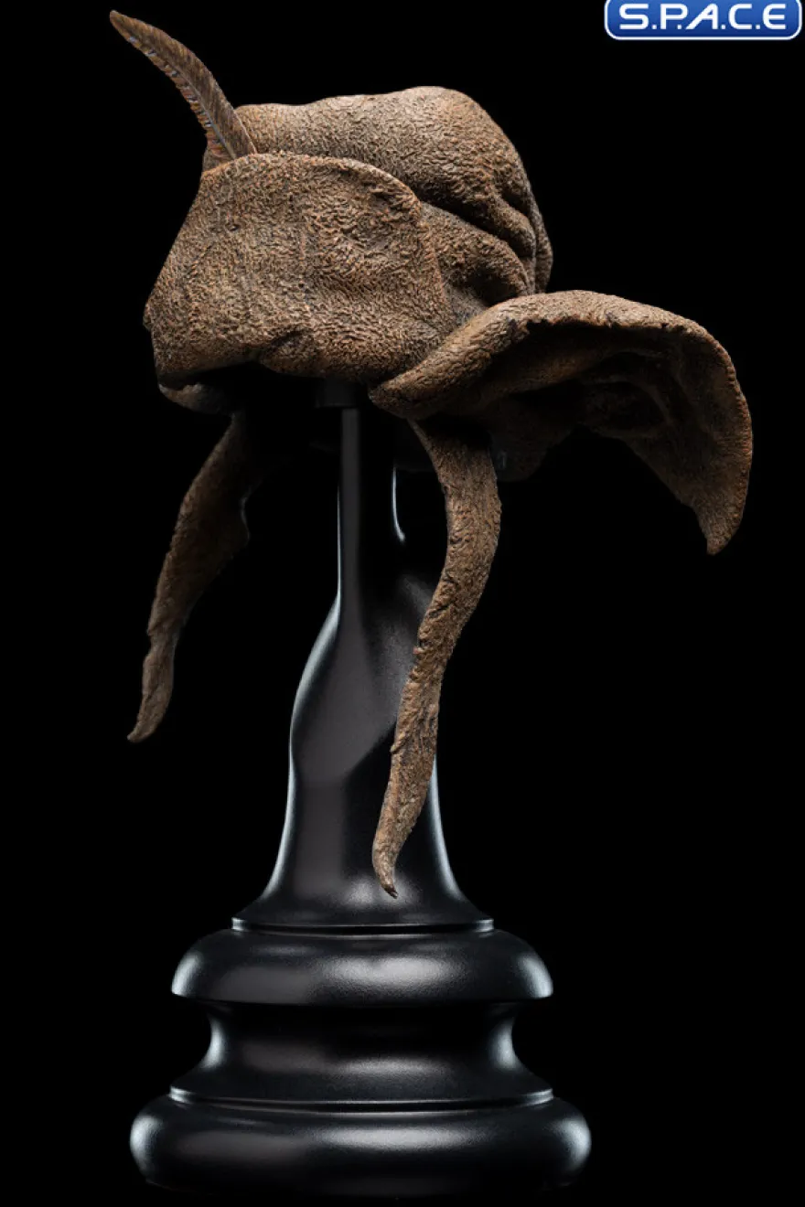 Hat of Radagast