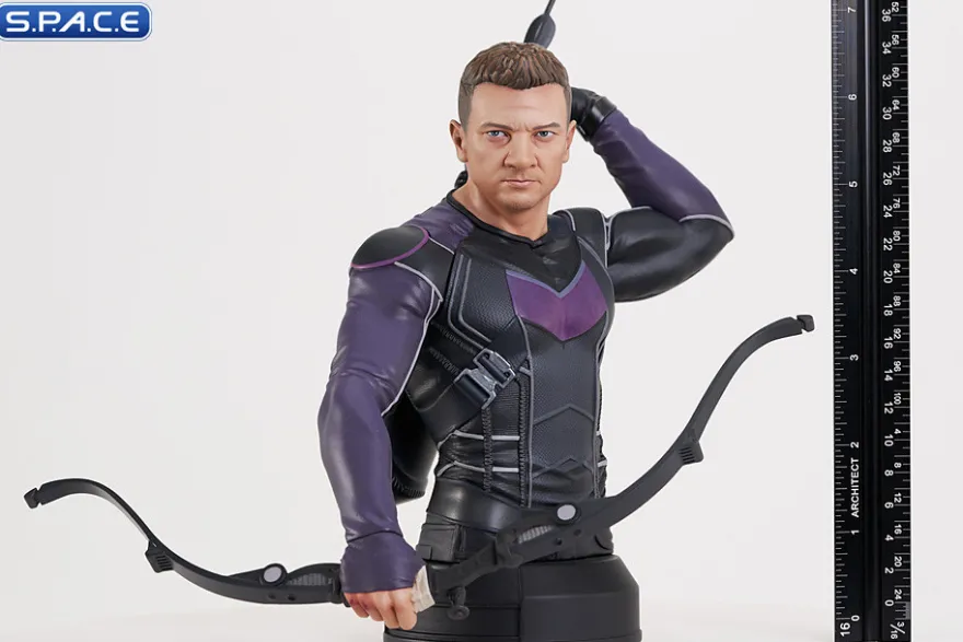 Hawkeye Bust