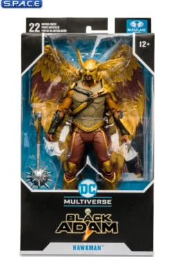 Hawkman from Black Adam Movie