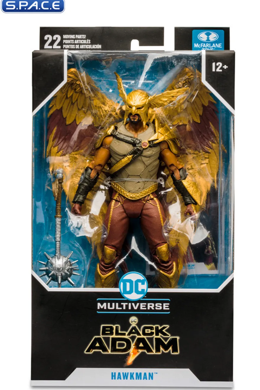 Hawkman from Black Adam Movie