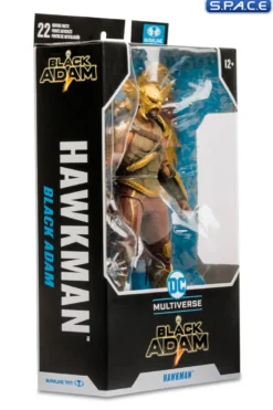 Hawkman from Black Adam Movie