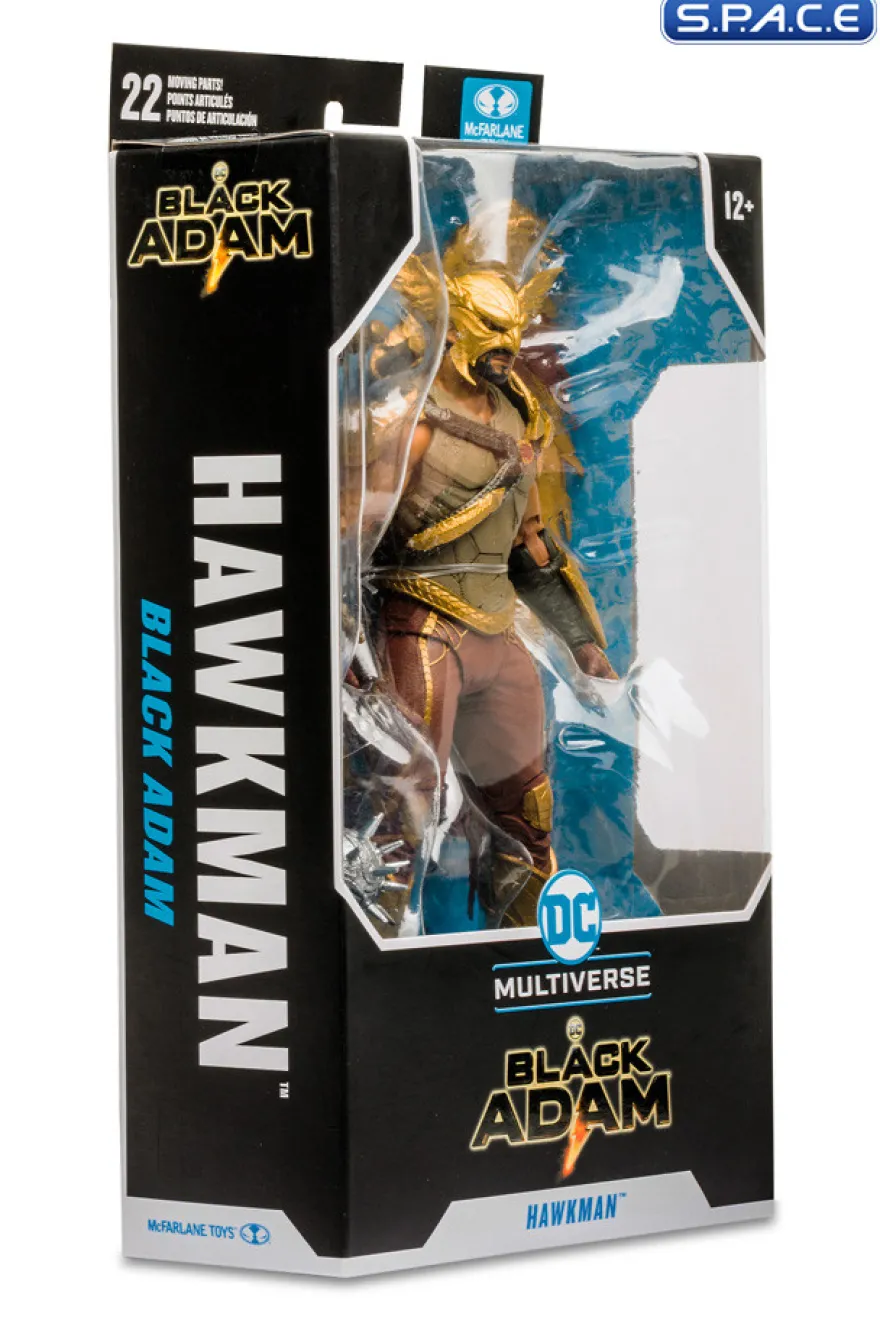 Hawkman from Black Adam Movie