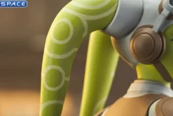 Hera and Chopper Bust Set