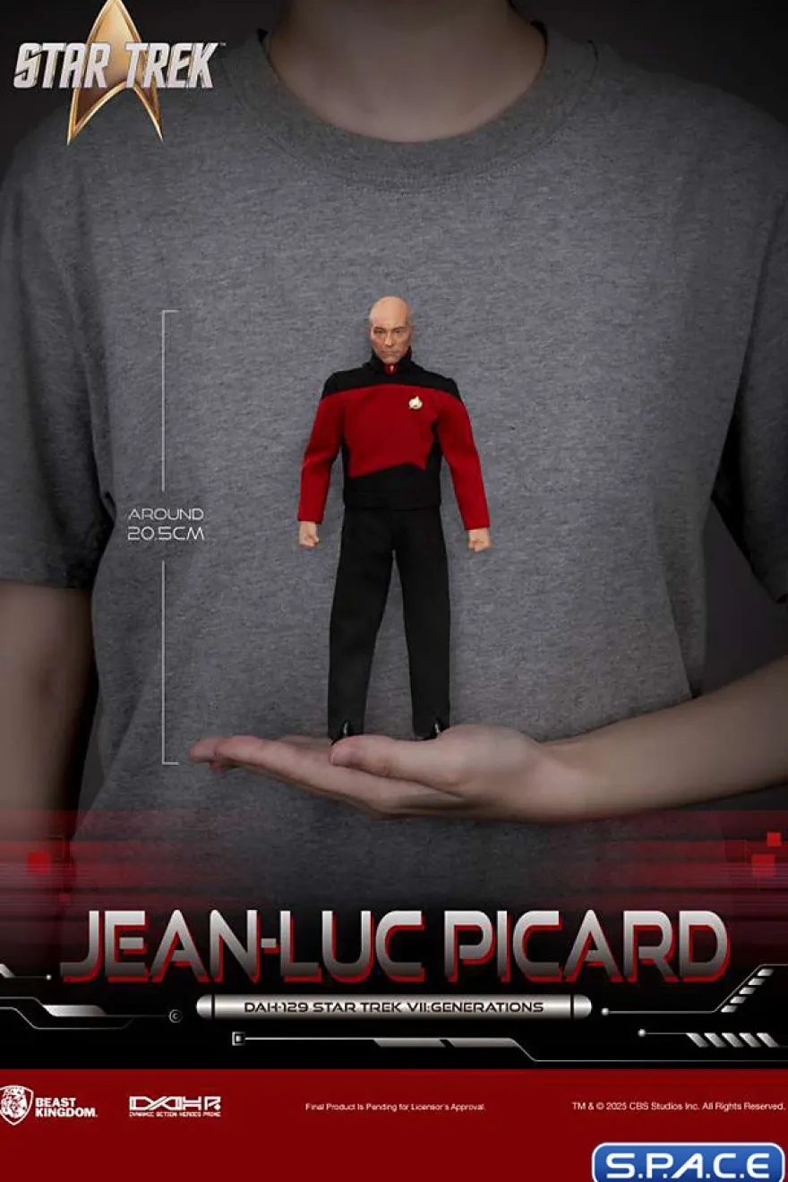 Jean-Luc Picard Dynamic 8ction Heroes