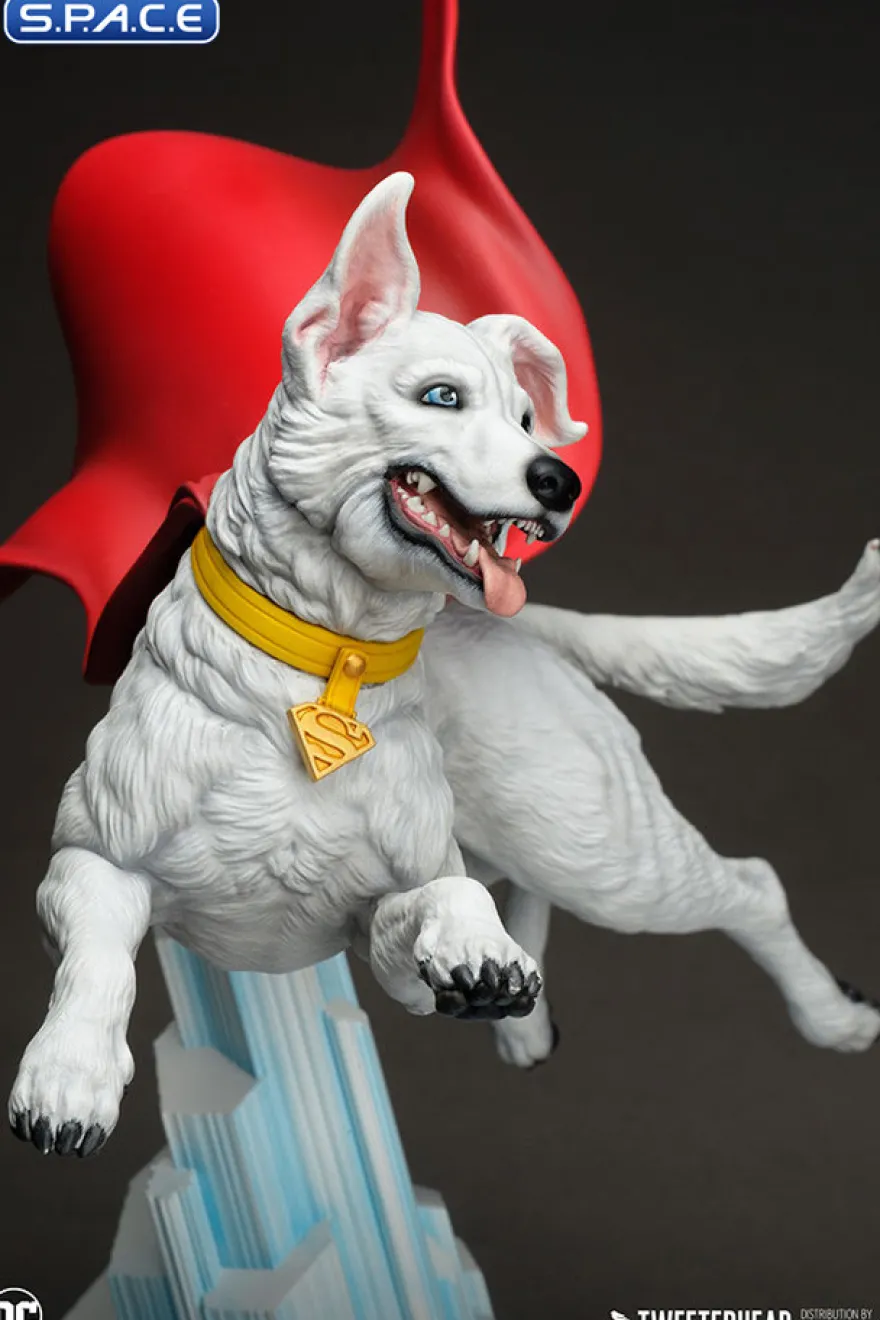 Krypto Maquette