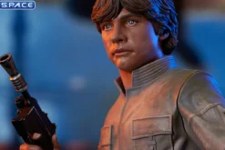 Luke Skywalker Bespin Bust