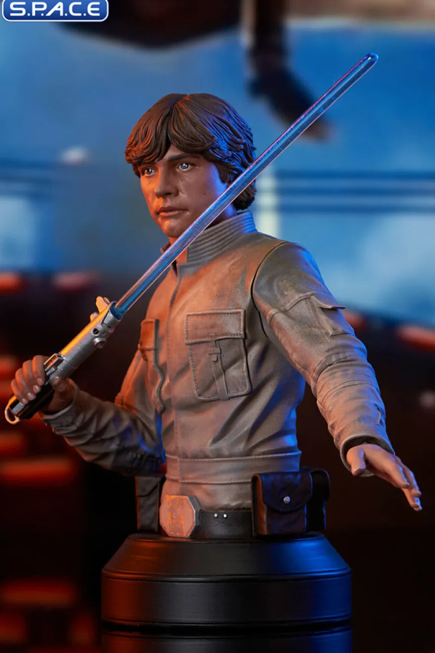 Luke Skywalker Bespin Bust
