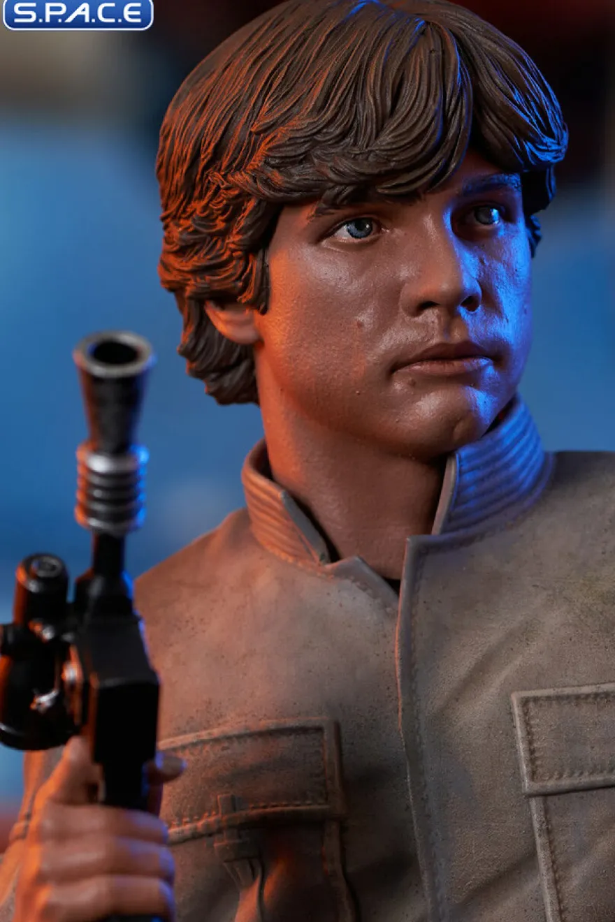 Luke Skywalker Bespin Bust