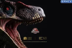 1:1 Male Alpha Velociraptor Blood Knight