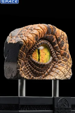 1:1 Male Velociraptor Eye Life-Size Replica