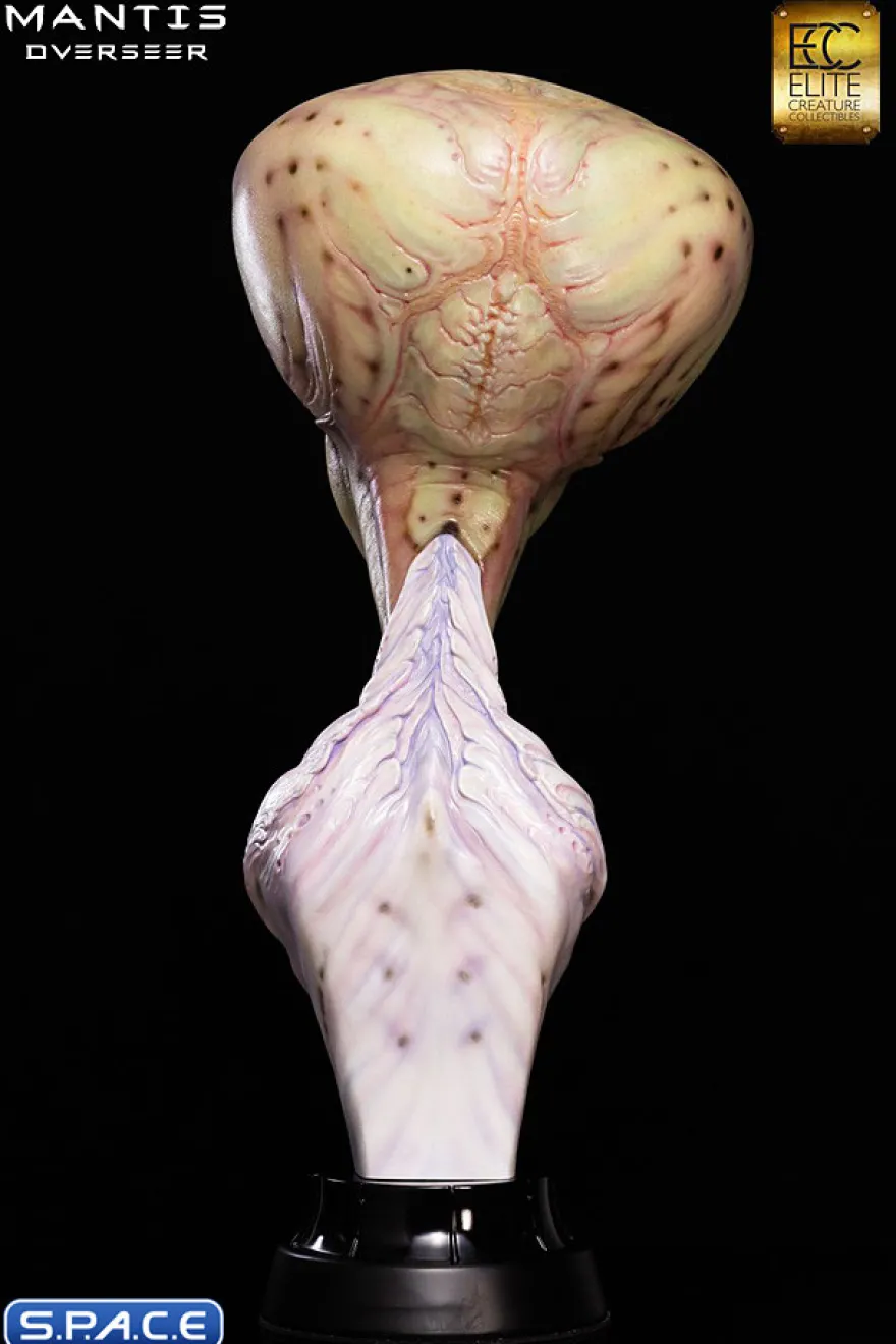 1:1 Mantis Overseer Life-Size Bust