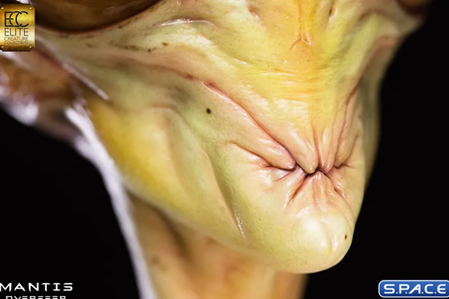 1:1 Mantis Overseer Life-Size Bust
