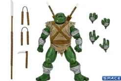 Michelangelo The Wanderer