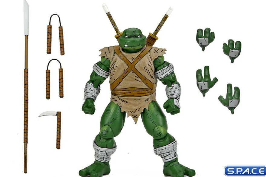 Michelangelo The Wanderer