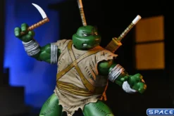 Michelangelo The Wanderer