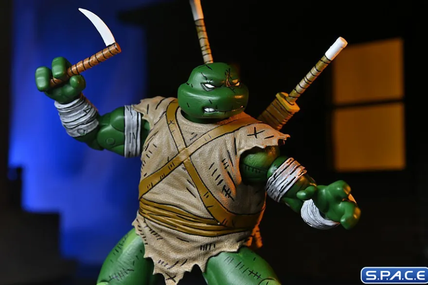 Michelangelo The Wanderer