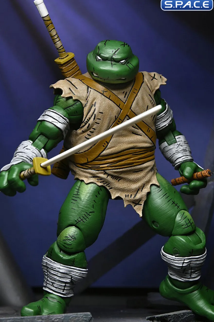Michelangelo The Wanderer
