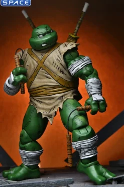 Michelangelo The Wanderer