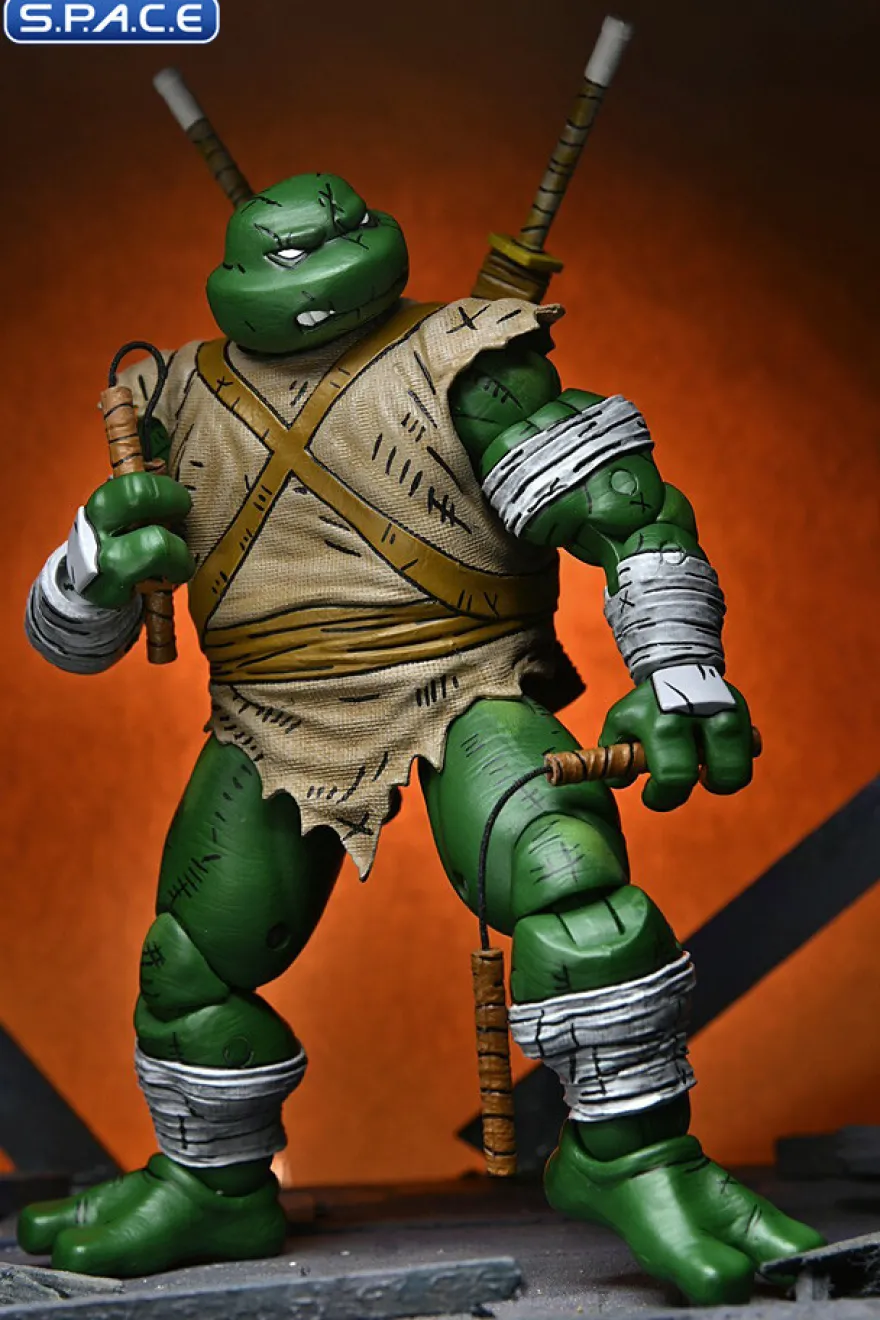 Michelangelo The Wanderer