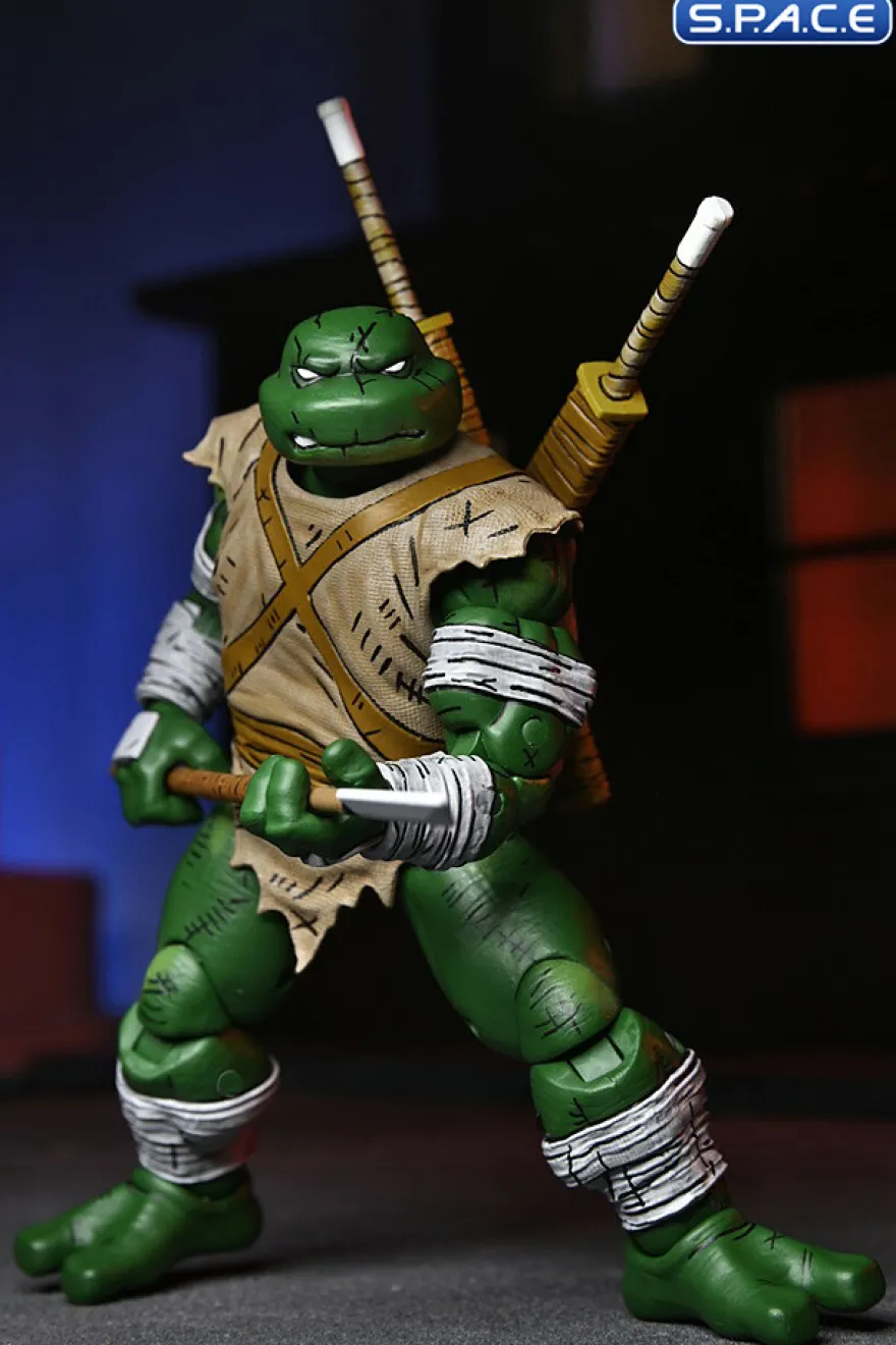 Michelangelo The Wanderer