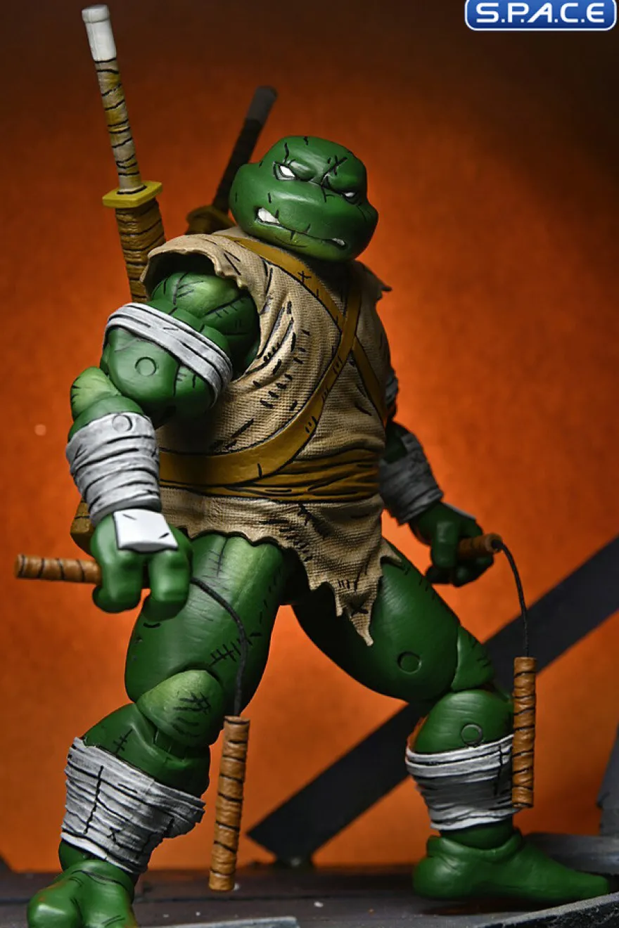 Michelangelo The Wanderer