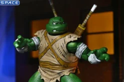 Michelangelo The Wanderer