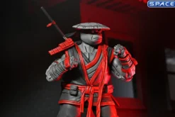 Nightwatcher Donatello