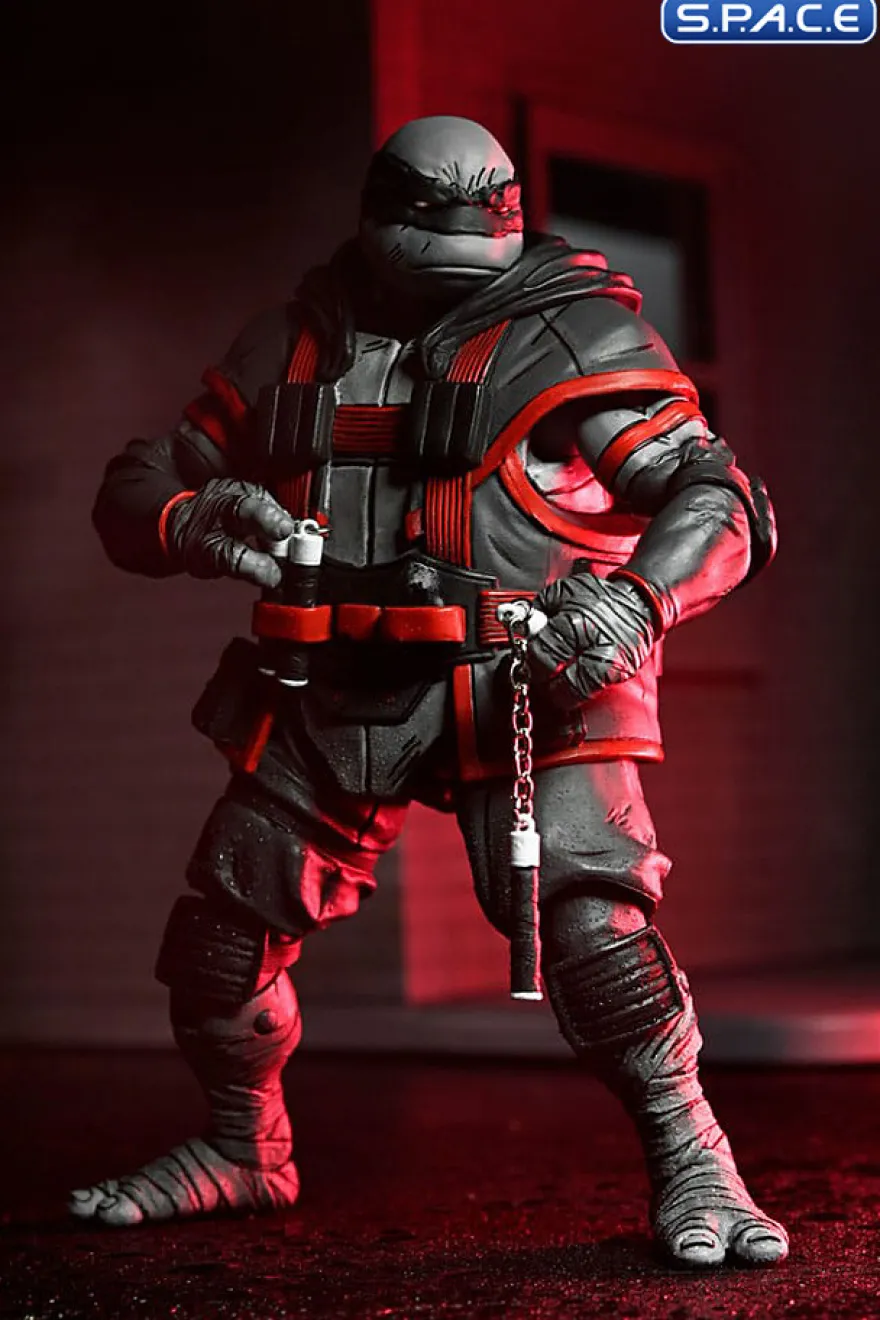 Nightwatcher Michelangelo