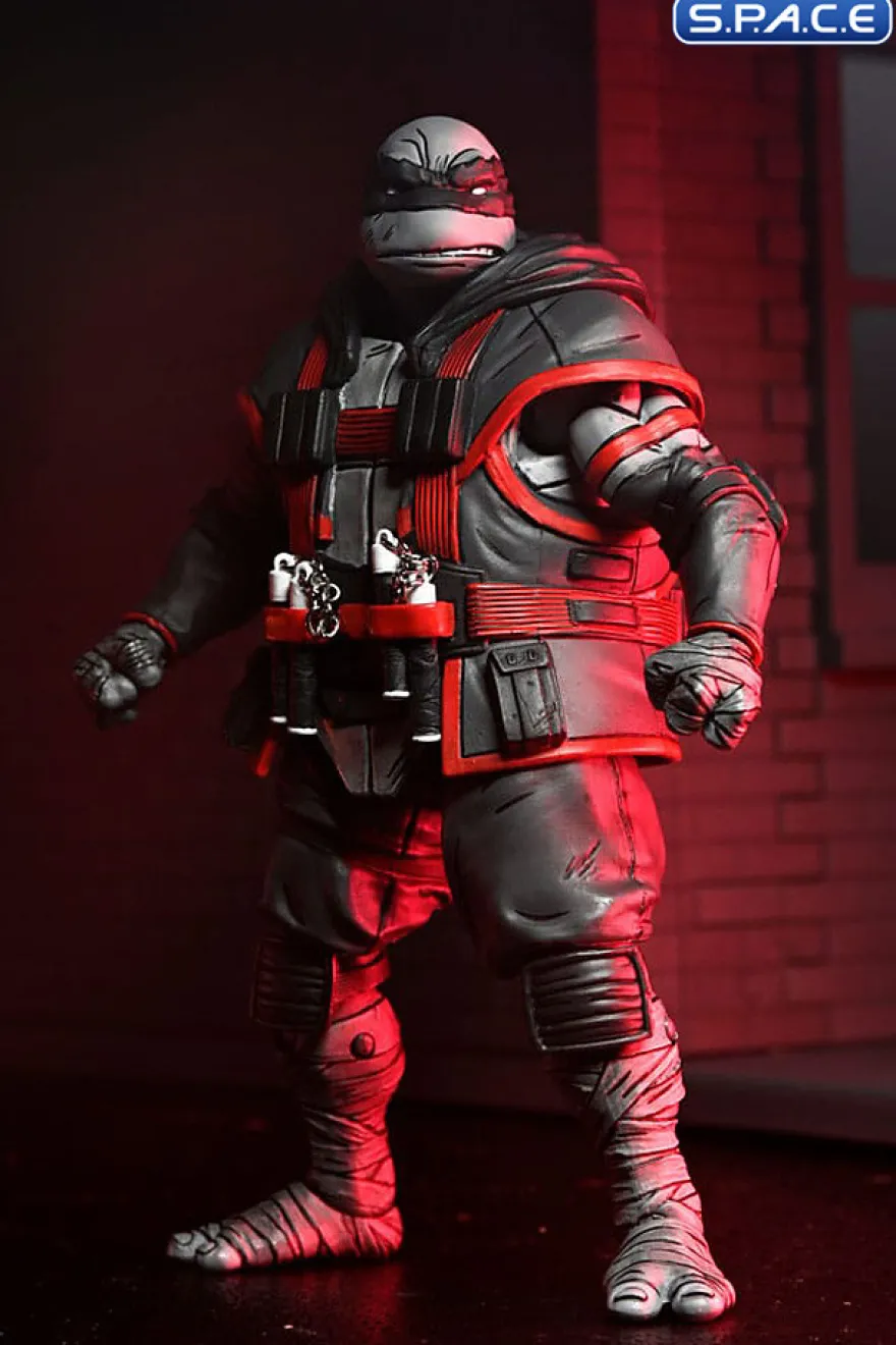 Nightwatcher Michelangelo