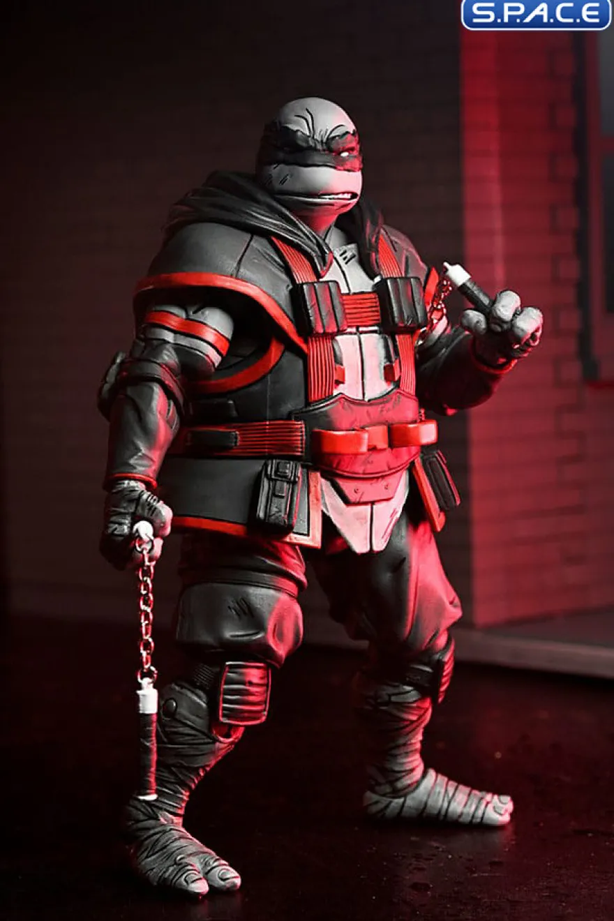 Nightwatcher Michelangelo