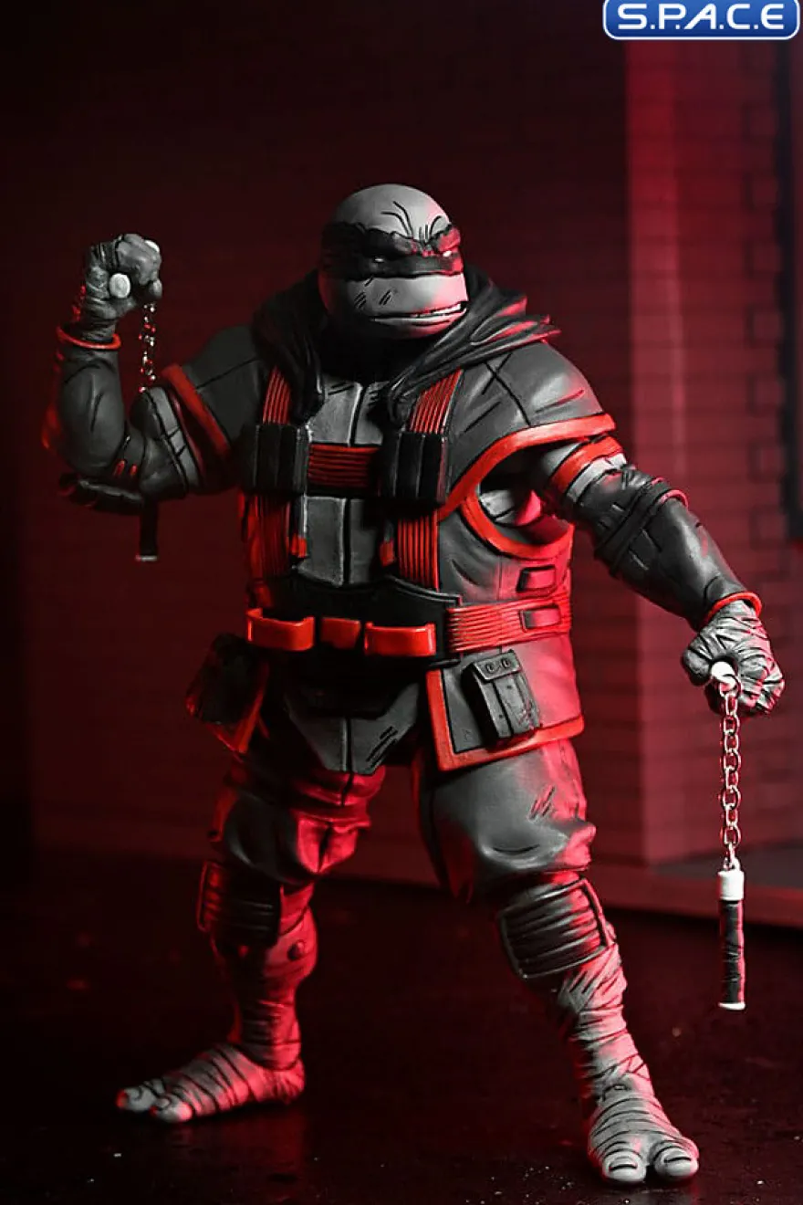 Nightwatcher Michelangelo