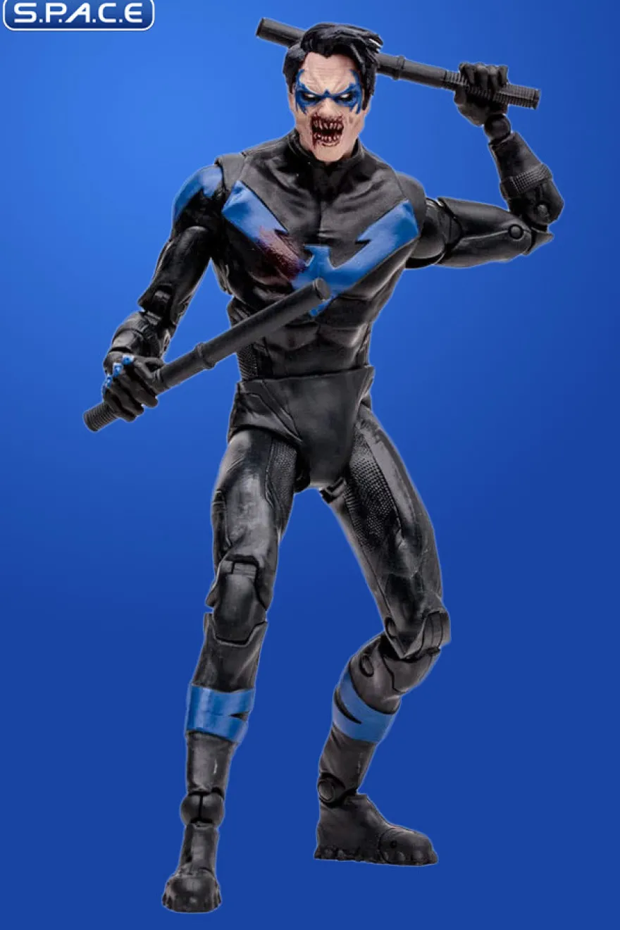 Nightwing from DC vs. Vampires