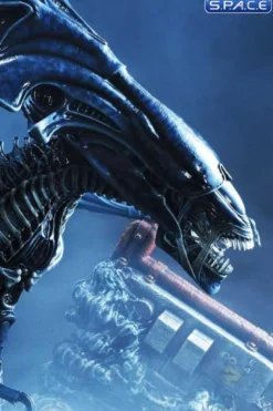 Queen Alien Premium Masterline Statue