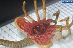 1/12 Scale Alien One:12 Collective