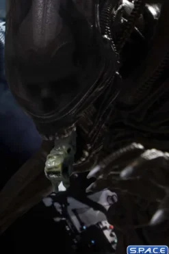 1/12 Scale Alien One:12 Collective
