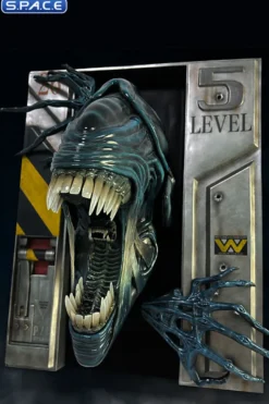 1/2 Scale Alien Queen Wall Sculpture