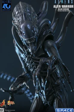 1/6 Scale Alien Warrior Deluxe Version Movie Masterpiece MMS899