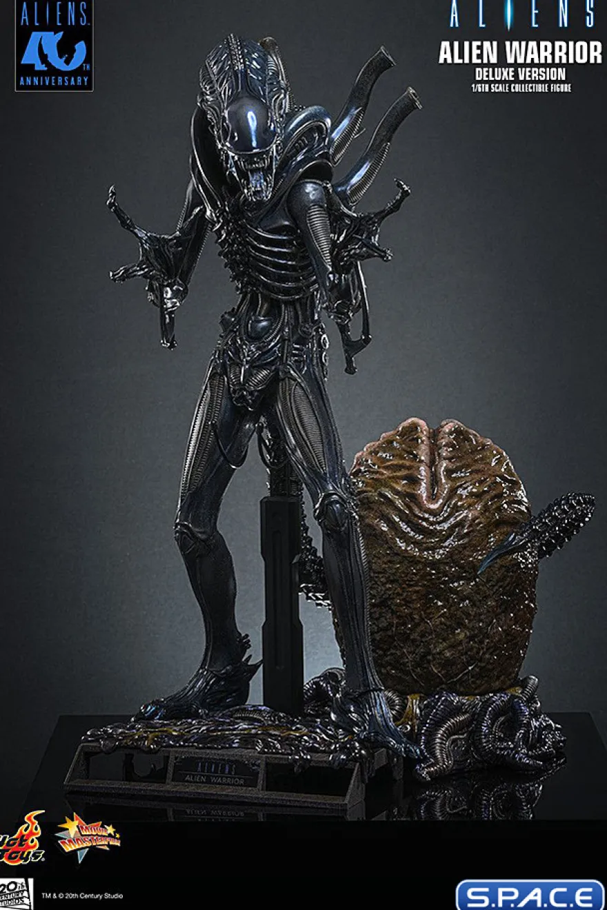 1/6 Scale Alien Warrior Deluxe Version Movie Masterpiece MMS899