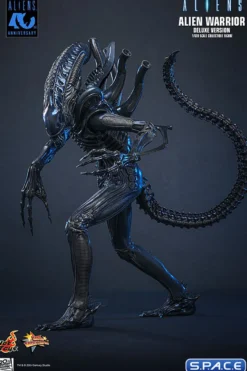 1/6 Scale Alien Warrior Deluxe Version Movie Masterpiece MMS899